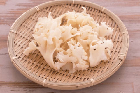 ハナビラタケ写真7