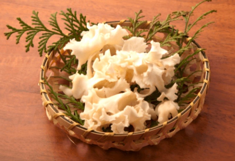 ハナビラタケの美しい見た目と特徴的な栄養素-コラム-1