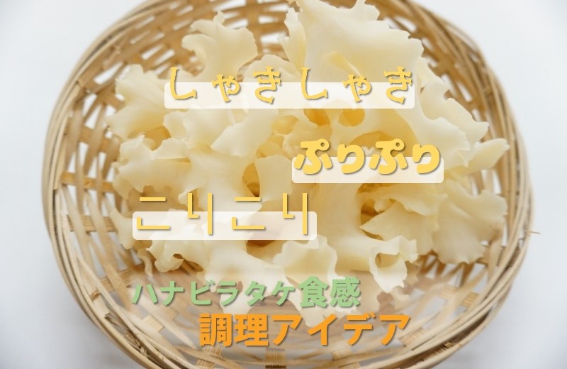 クセになるハナビラタケの食感を活かす調理アイデア-column