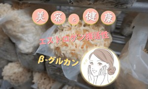 ハナビラタケのエストロゲン様活性とβグルカンがもたらす美容と健康-top