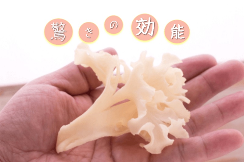 ハナビラタケの驚きの効能-画像1