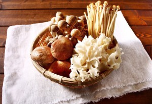 ハナビラタケコラム-日本のきのこ食文化を探る写真1